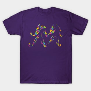 Colorful Floral Aquarius T-Shirt